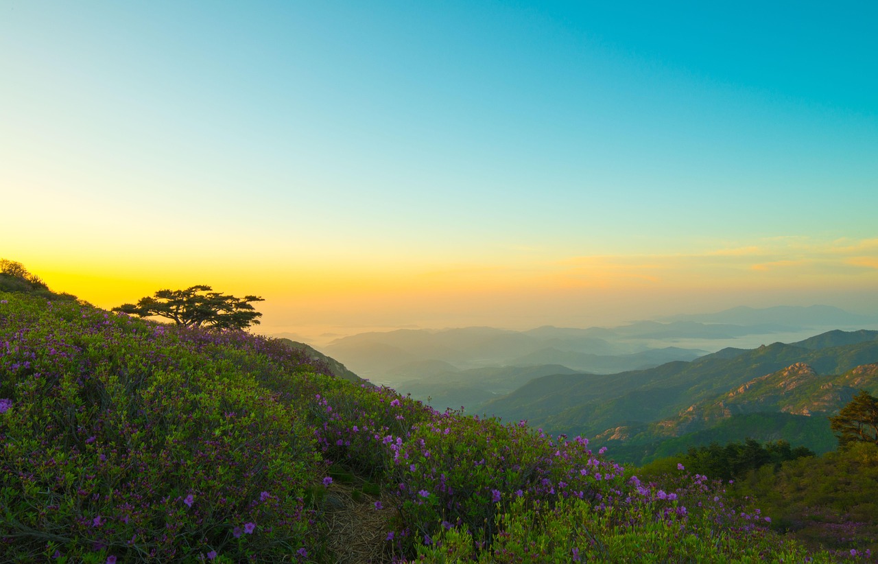 nature, mountain, scenery, heaven, panorama of, travel, tree, hill, dawn, time, fog, cloud, location of, sun, korea, korea, korea, korea, korea, korea